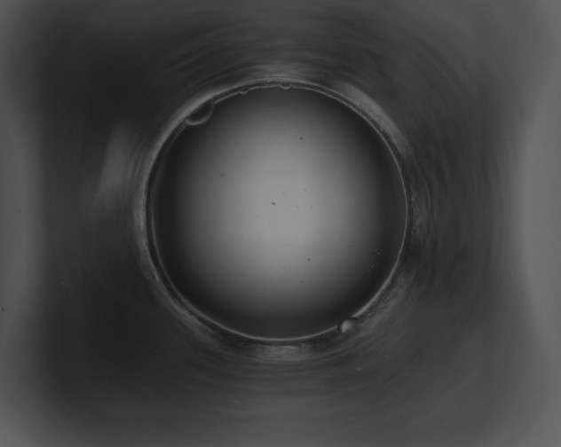 X0000100901339200806241244