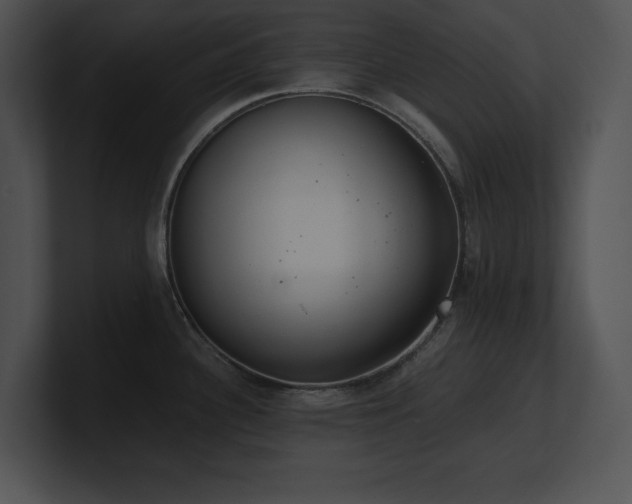 X0000100901340200806241244