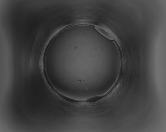 X0000100901341200806241244