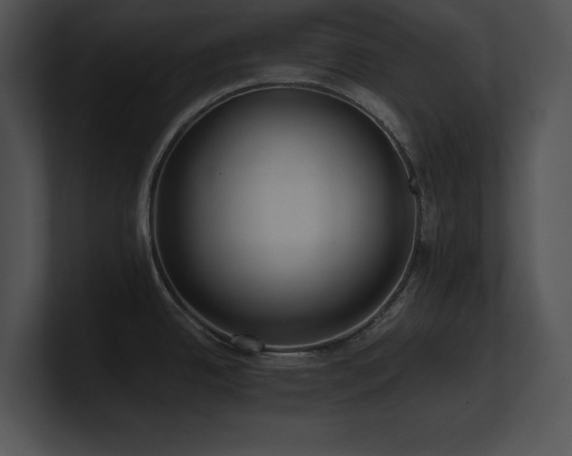 X0000100901342200806241244