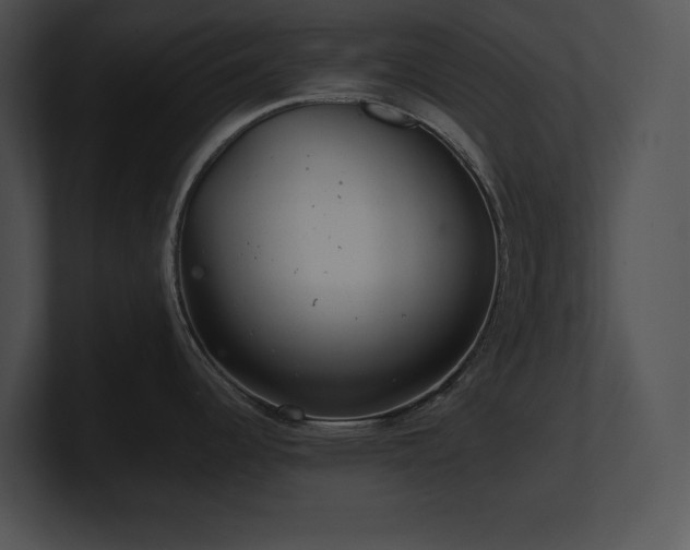 X0000100901344200806241244
