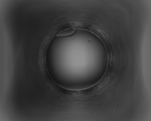 X0000100901345200806241244