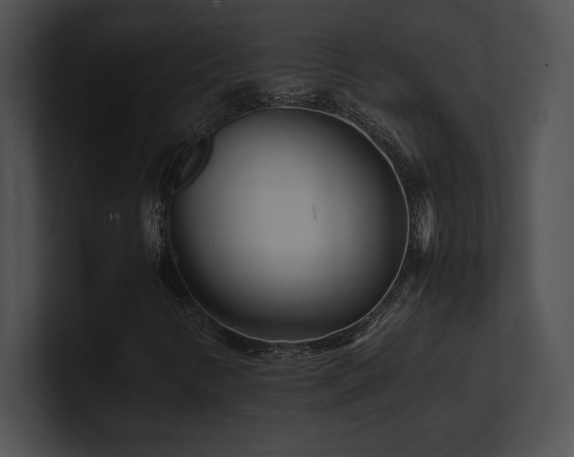 X0000100901346200806241244