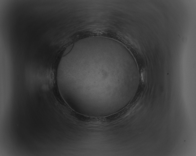 X0000100901347200806241244