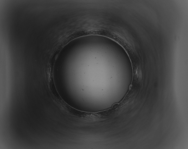 X0000100901348200806241244
