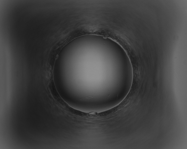 X0000100901349200806241243