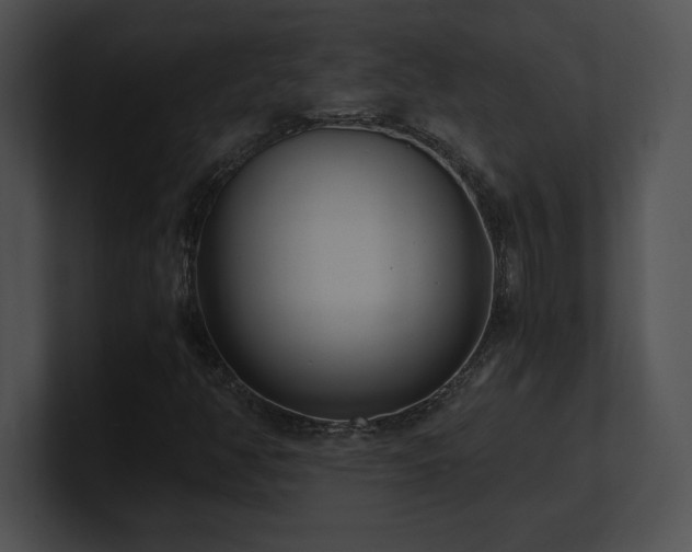 X0000100901350200806241243