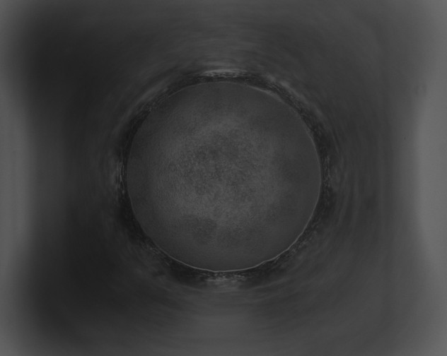 X0000100901351200806241243