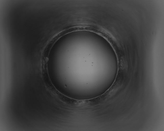 X0000100901352200806241243