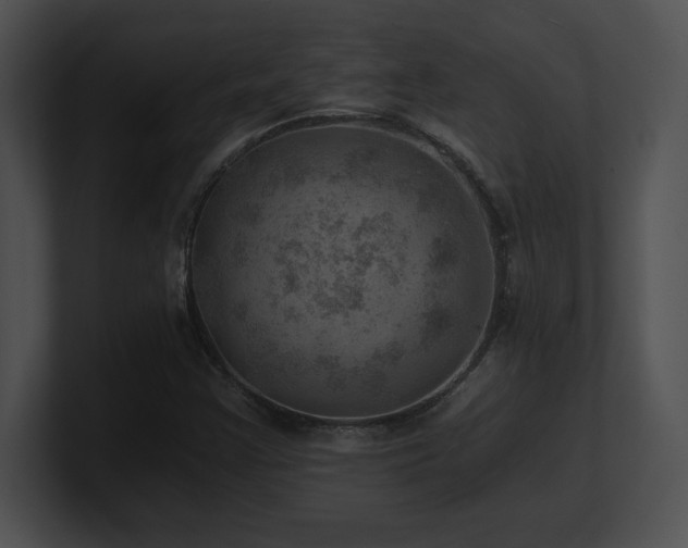X0000100901355200806241243