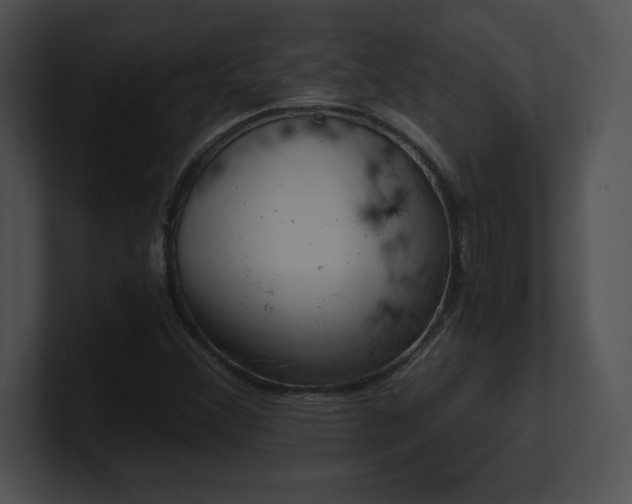 X0000100901356200806241243