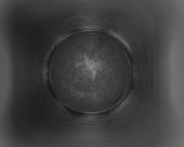 X0000100901357200806241243