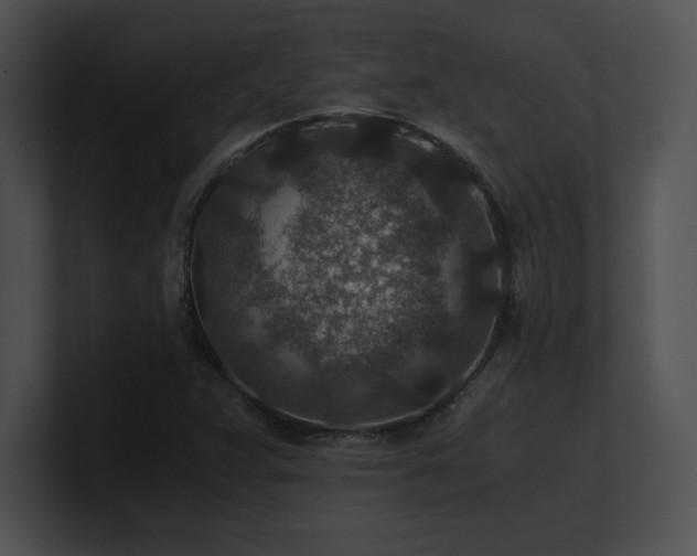 X0000100901359200806241243