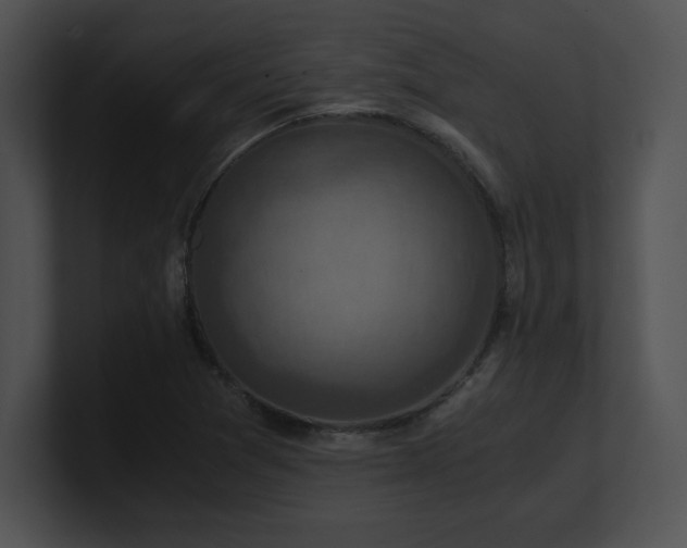 X0000100901361200806241243