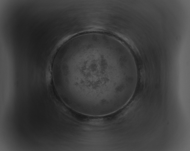 X0000100901363200806241243