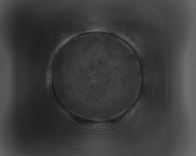 X0000100901367200806241243