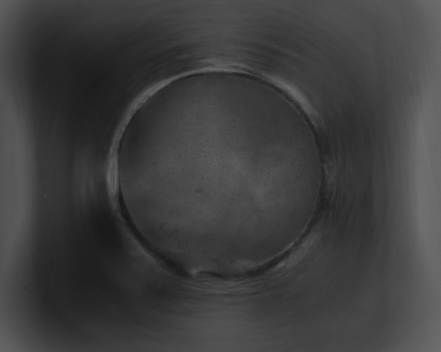 X0000100901371200806241243