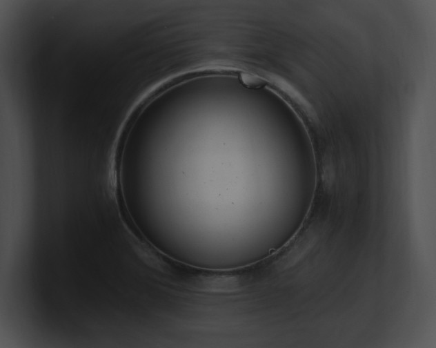 X0000100901372200806241243