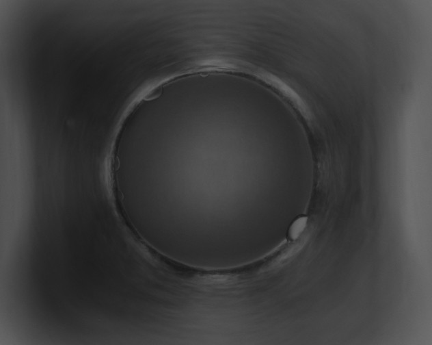 X0000100901373200806241243