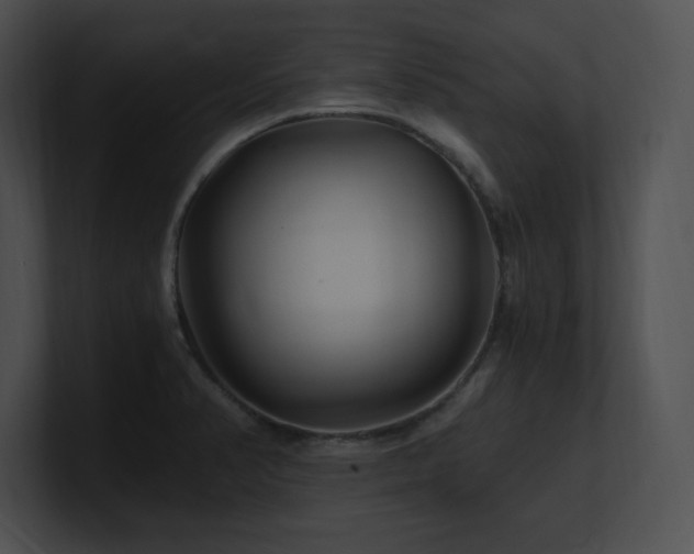 X0000100901374200806241243