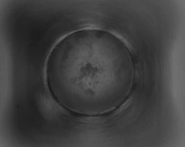 X0000100901375200806241243