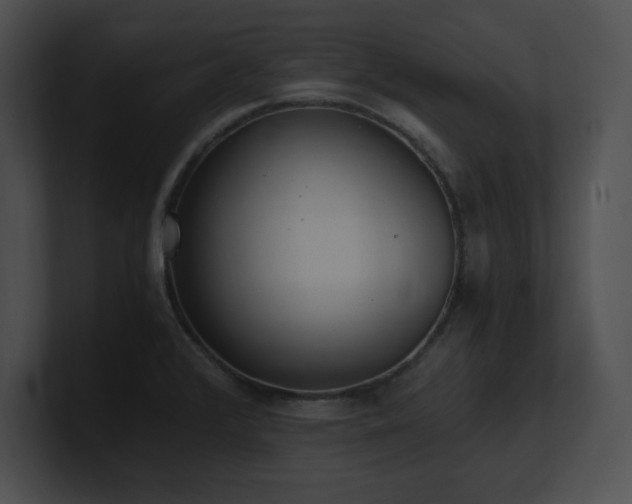 X0000100901376200806241243