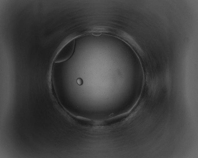 X0000100901378200806241243
