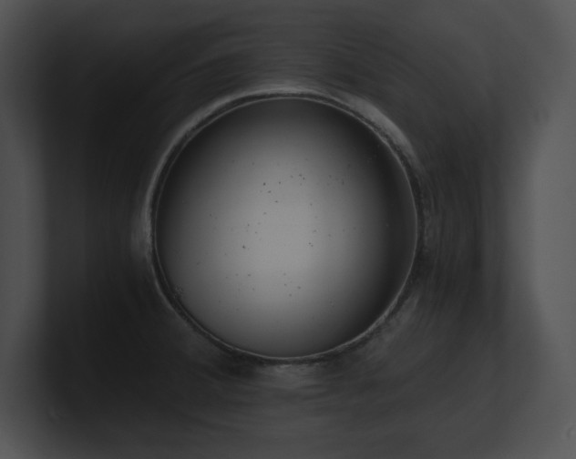 X0000100901380200806241243