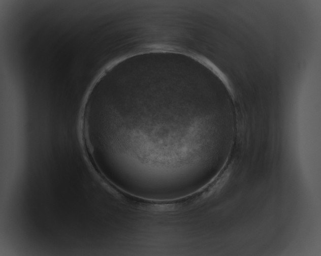 X0000100901381200806241243