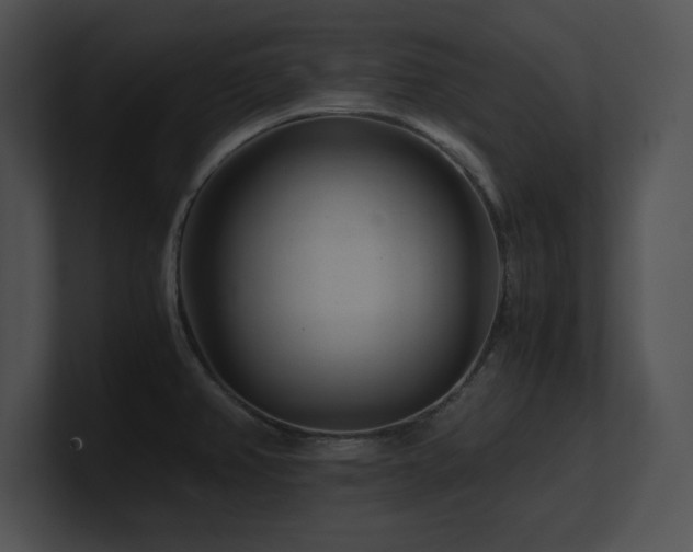 X0000100901382200806241243