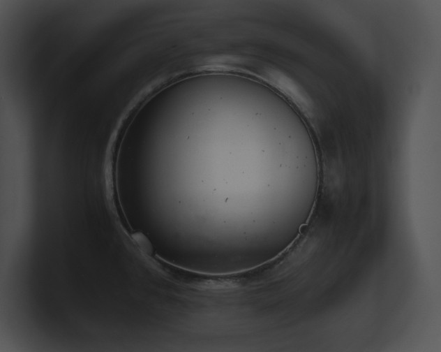 X0000100901384200806241243