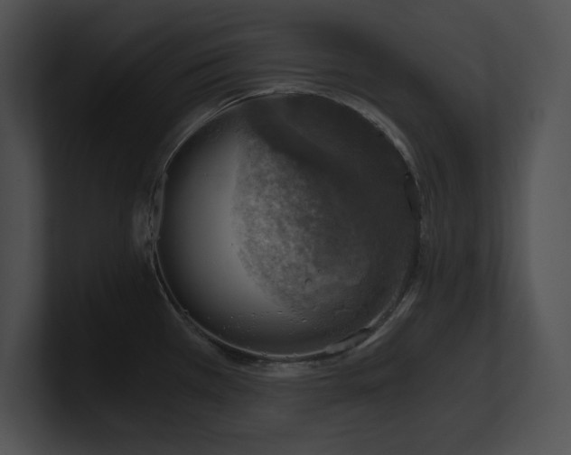 X0000100901385200806241243