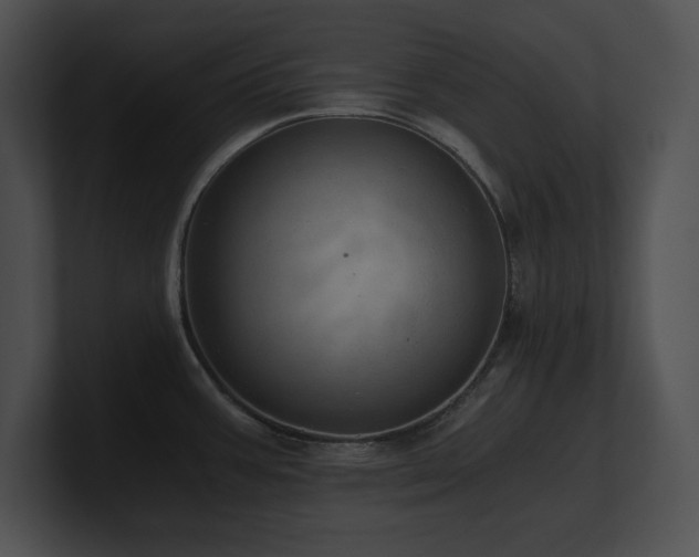 X0000100901387200806241243
