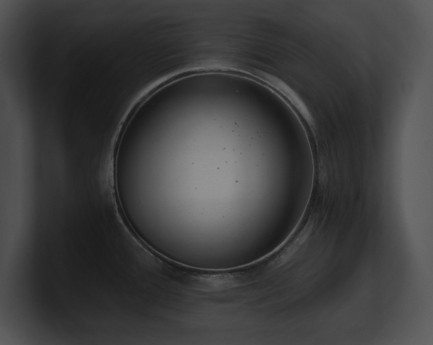 X0000100901388200806241243