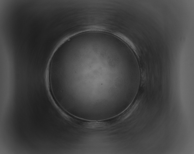 X0000100901391200806241243