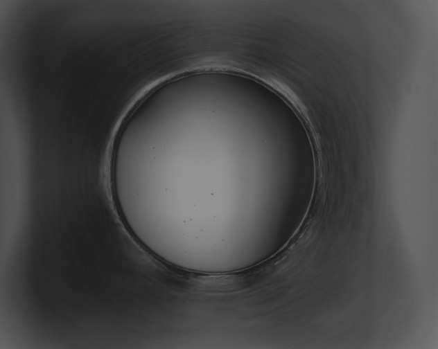 X0000100901392200806241243