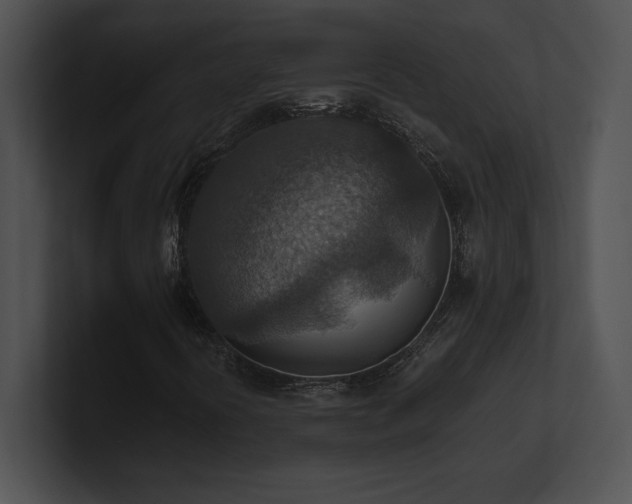 X0000100901394200806241242