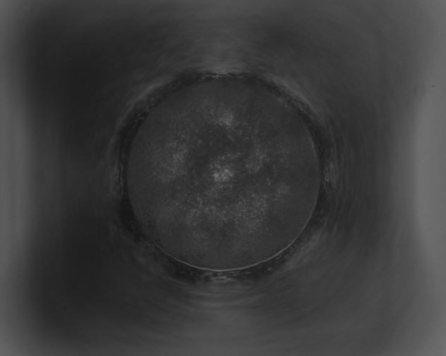 X0000100901398200806241242