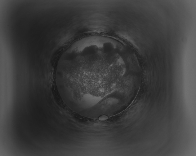 X0000100901399200806241242