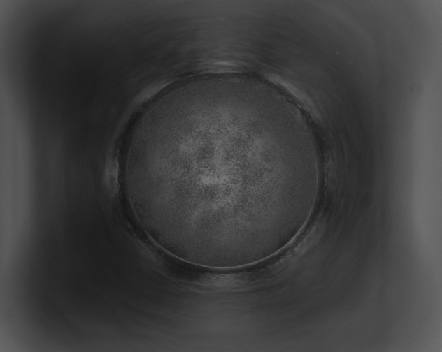 X0000100901402200806241242