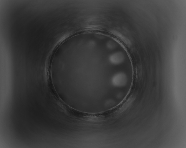 X0000100901405200806241242