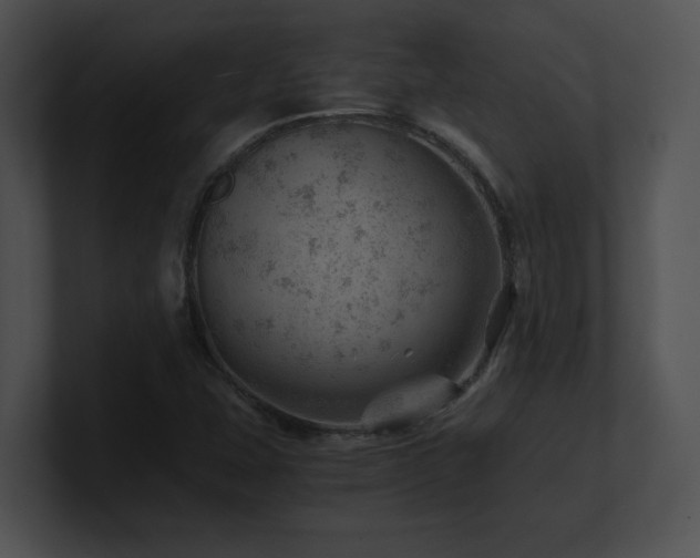 X0000100901407200806241242