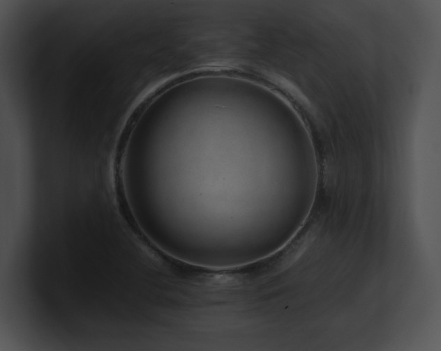 X0000100901412200806241243