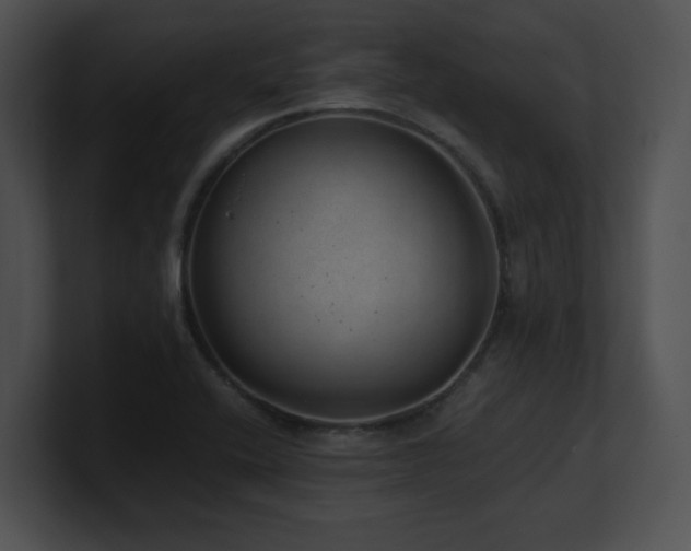 X0000100901416200806241243
