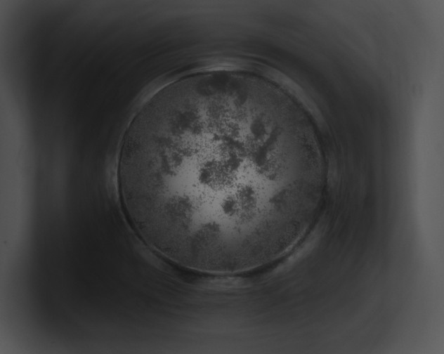 X0000100901417200806241243