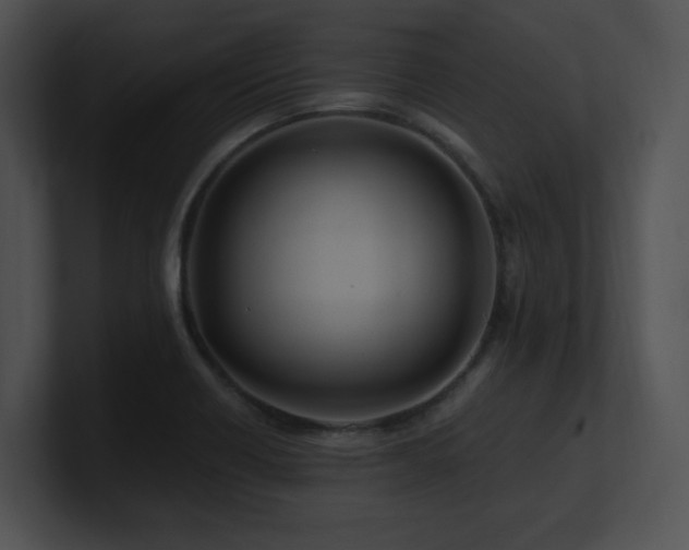 X0000100901418200806241243