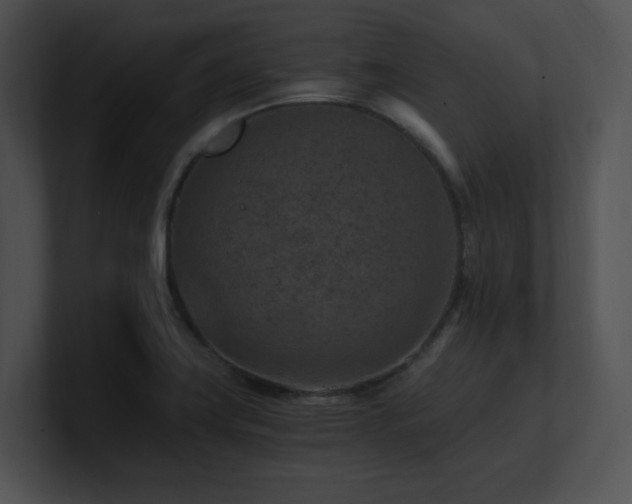 X0000100901419200806241243