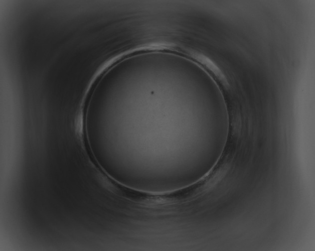 X0000100901420200806241243