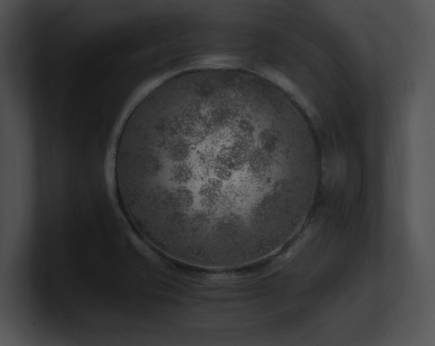 X0000100901421200806241243
