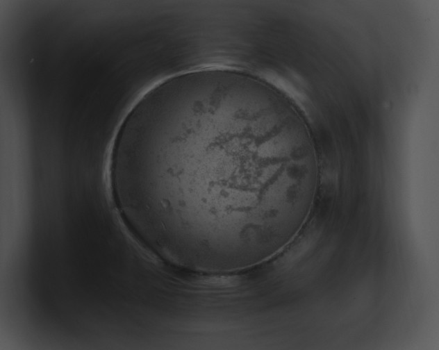 X0000100901423200806241243
